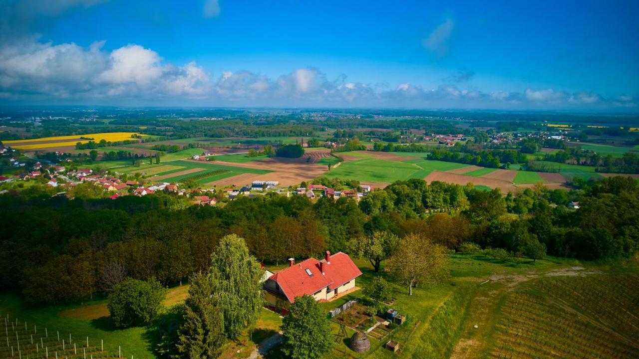 Holiday House Podhamer Marijan Ljutomer Kültér fotó